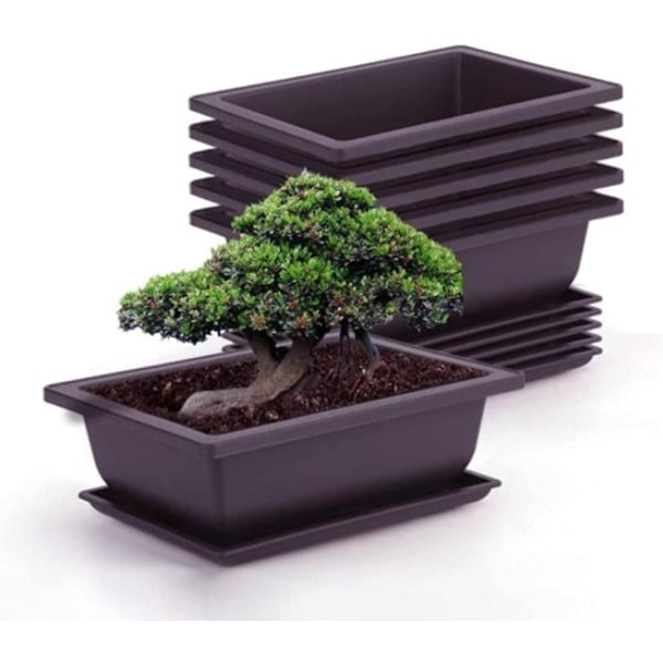 2025 Lämpligt Set med 6 Bonsai Träningskrukor med Bricka Fyrkantig Plast Blomkruka Suckulent Växt Blomkruka för Trädgård, Vardagsrum och Kontor