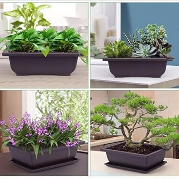 Set med 6 Bonsai-träningspottar med bricka Kvadratisk plastblomkruka Succulent växtblomkruka för trädgård, vardagsrum och kontor