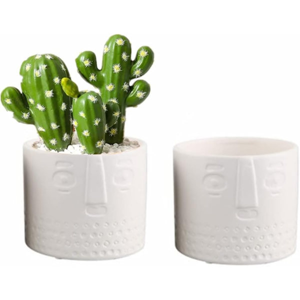 Set med 2 keramiska blomkrukor för suckulenter - Ansiktsdesign - För vardagsrum, kontor - Vit