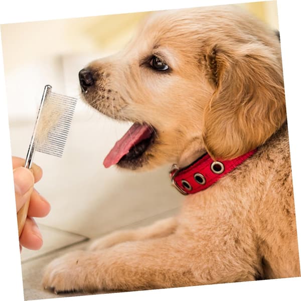 Durable Compact Pet Hair Comb for Dogs and Cats Non-slip Small Grooming Accessory with Smooth Rounded Edges Lightweight