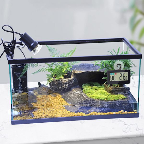 Reptiltermometer Hygrometer Reptilglasbehållare Termometer Hygrometer Digital