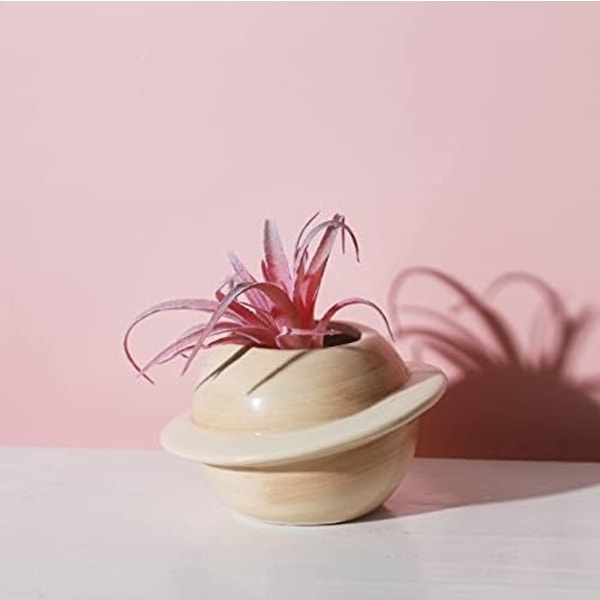 Set med 2 keramiska blomkrukor - För suckulenter - Kreativ - Mini Planet - Dekorativ blomkruka för inomhus eller balkong - Brun