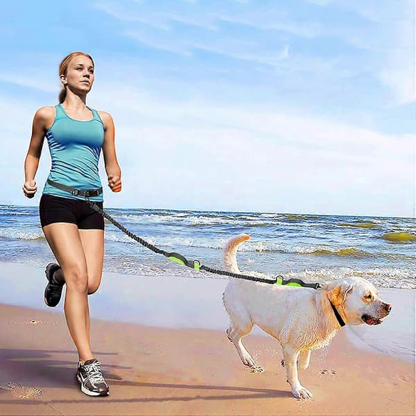 Hands Free Dog Leash with Reflective Bungee, Adjustable Waist Belt, Double Handle Dog Leash