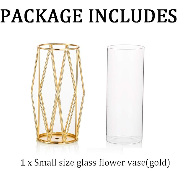 Glasvas blomma guld, modern liten vas pampasgräs med geometrisk metallram konstgjorda blommor