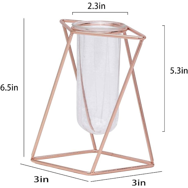 Glasblomvas med metallstativ Modern geometri Skrivbordsglasplanterare Inomhus Hydroponik Växter för Hemkontor Trädgårdsbröllopsdekor (Guld, M)