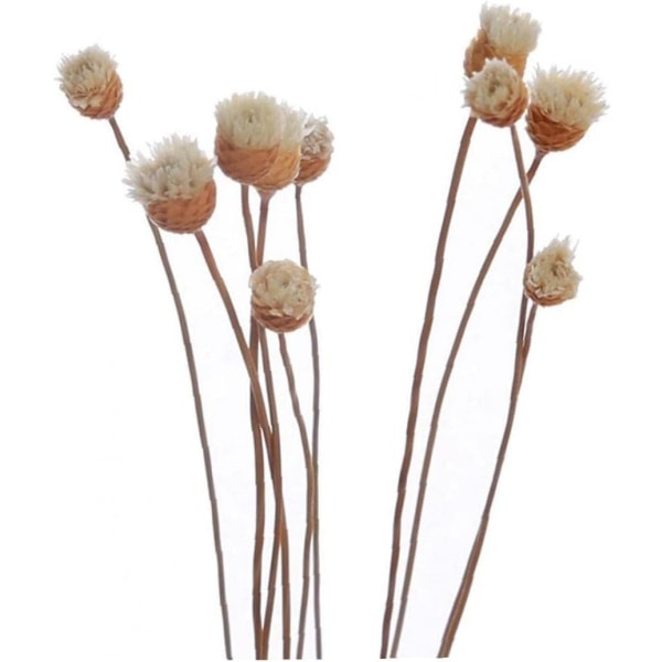 20 st/ set Diffusor Rotting Flower Sticks Knopp Rose Rose Rotting Sticks för eterisk oljediffus