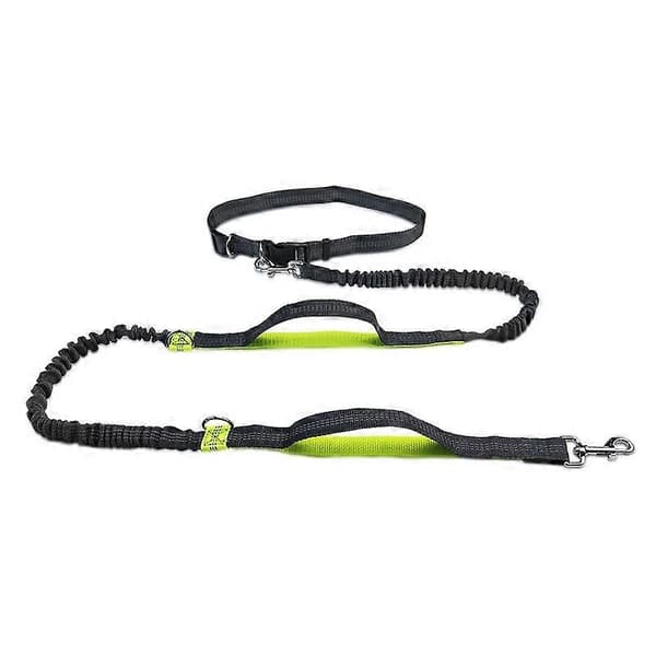 Hands Free Dog Leash with Reflective Bungee, Adjustable Waist Belt, Double Handle Dog Leash