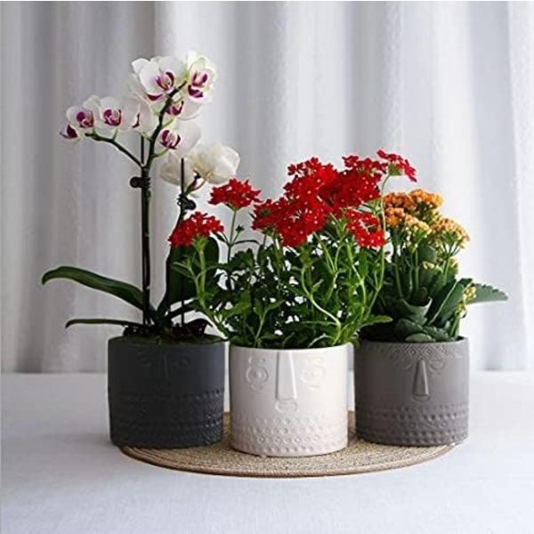 Set med 2 keramiska blomkrukor för suckulenter - Ansiktsdesign - För vardagsrum, kontor - Vit