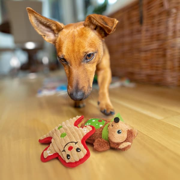 6 jule-pibende vaskede plysdyr til hunde, assorterede X