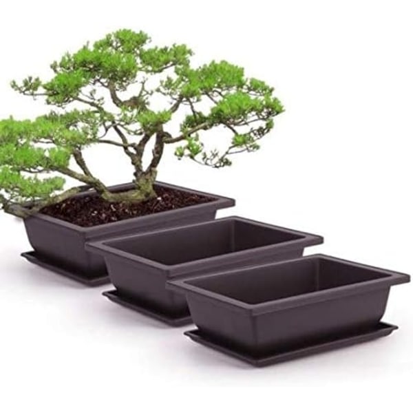 2025 Lämpligt Set med 6 Bonsai Träningskrukor med Bricka Fyrkantig Plast Blomkruka Suckulent Växt Blomkruka för Trädgård, Vardagsrum och Kontor