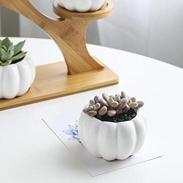 Set med 3 minikrukor i keramik med bamburam för suckulenter, kaktusar och små växter, 20 x 16,5 cm + 5,1 x 6,5 cm