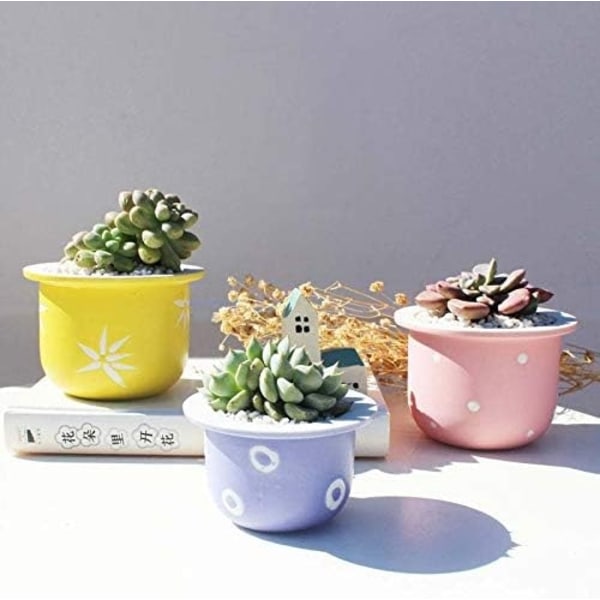 Mini suckulenta blomkrukor - Modern - Kaktus - Saftig blomkruka - Dekoration för interiör, hem, kontor (rosa)