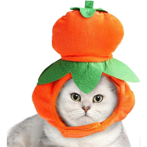 Katt Halloween-kostymer, Hund Squash-kostyme med magisk bånd - Søt kjæledyrhatt, myk gresskarhatt for festlige anledninger