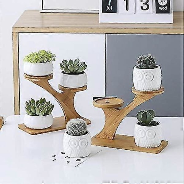 3 kpl:n minikeraamiset kukkaruukut bambukehyksellä mehikasveille, kaktuksille ja pienille kasveille 20x16,5 cm + 5,1x6,5 cm -CHN
