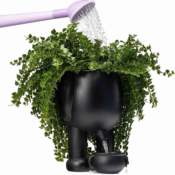 Nyhet Tissepotte Planter Nyhet Tissepotte Planter Pot Tissepotte Morsom Vase Planter Sukkulent Hjemmedekor HageMorsom Gave -GSL black without plant