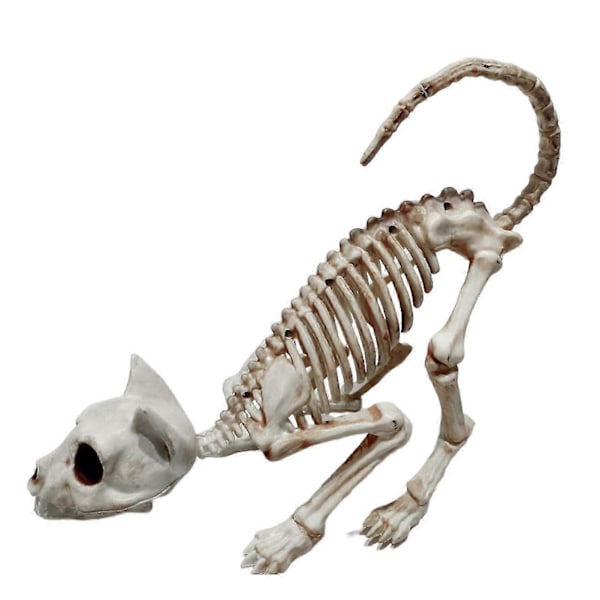 Halloween Dekoration Realistisk Dekorativ Förbättra Atmosfär Plast Skräck Katt Skelett Halloween Prydnad För Hem -CHN