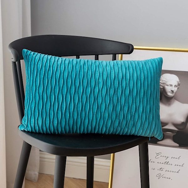 Pudebetrækssæt med 2 firkantede rektangulære dekorative fløjls pudebetræk Moderne pudebetræk til sofa seng sofa stol værelse stue (ingen pudekerne