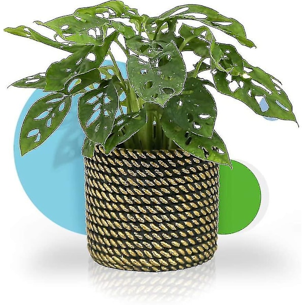 2024 Flower Plant Pot - 4.7" Cement Pots With Drain Hole Modern Decorative For Indoor Planters June 6.15