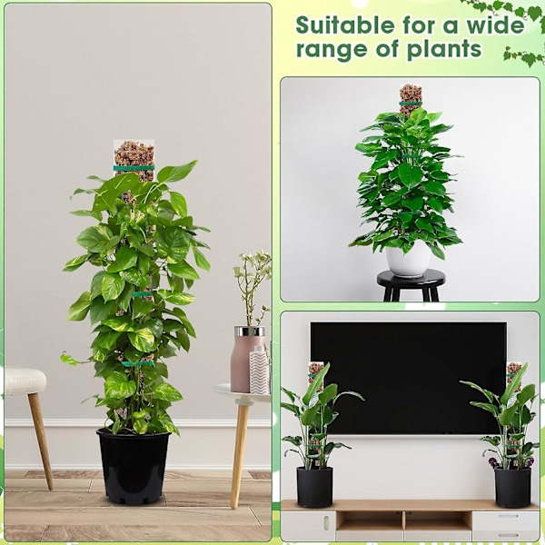 Monstera spaljé 24 tum mossa stång växter mossa poler set spaljé inomhus växt mossa pol gjord av plast expanderbar DIY mossa stång för Monstera ZD B2 6 pcs