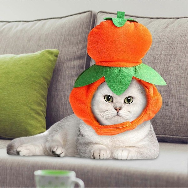 Katt Halloween-kostymer, Hund Squash-kostyme med magisk bånd - Søt kjæledyrhatt, myk gresskarhatt for festlige anledninger