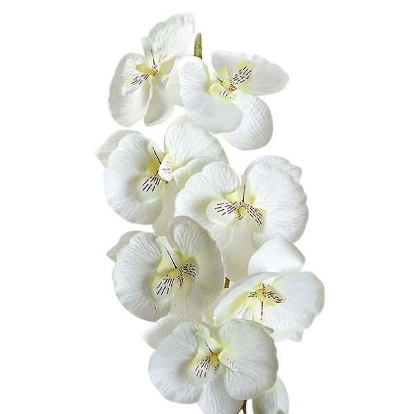 1 st konstgjord blomma fjäril orkidé trädgård bröllopsfest White