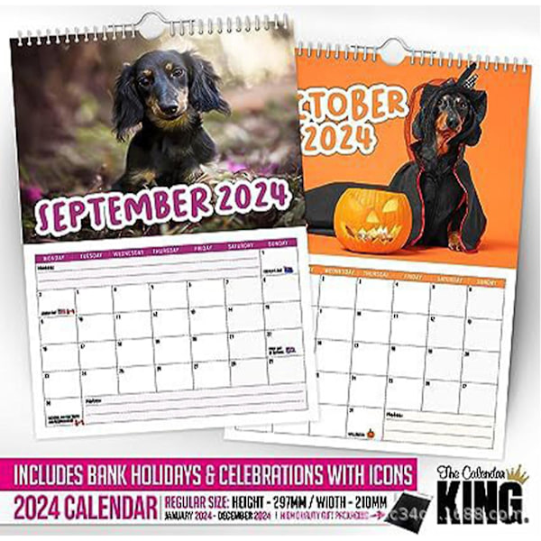 2024 Veggkalender Cheeky Dachshunds Kalender, Morsom Hengende Dyrekalender Månedlig Kalender Fra 2024.1-2024.12, Veggkalender Skrivebordskalender For Tim 2pcs