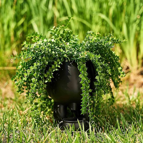 Sjov vase, der tisser, nyhedspotte til at tisse, potte til at tisse, sukkulente potter med dræn sort/hvid -GSL black without plant