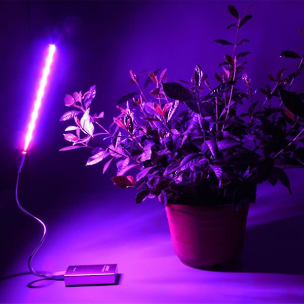 2,5 W/14 LED växtlampa USB rödblå hydroponisk växtbelysning för skrivbord - GSL