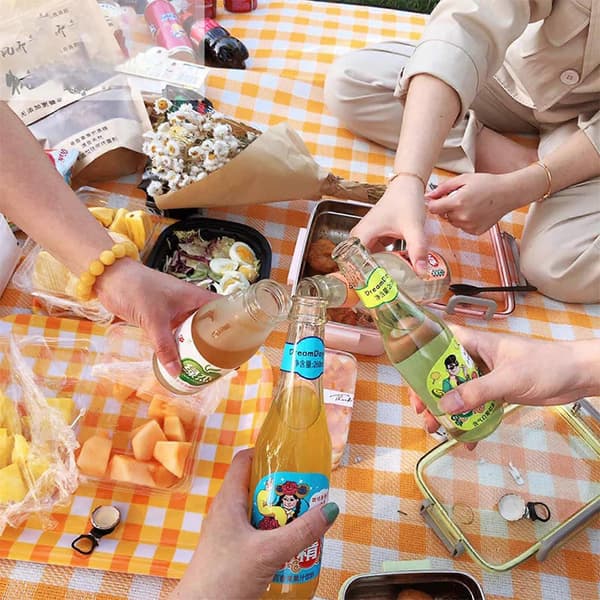 Campingmatte for utendørs, vanntett, praktisk matte, bæreveske, vanntett polstring