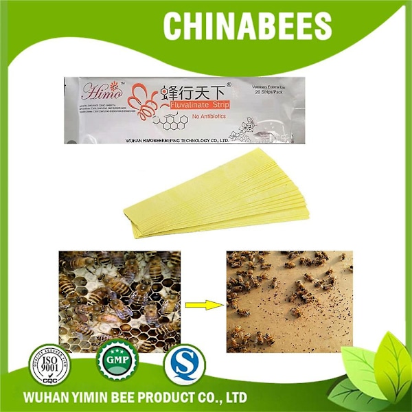 20-100 st Bee Mite Akaricid Remsa Bikupa Varroa Mite Killer Skadedjursbekämpning 60pcs