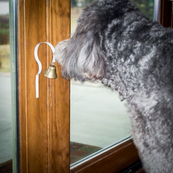 Dørklokke til hunde til renlighedstræning, dørklokke/potte KLB