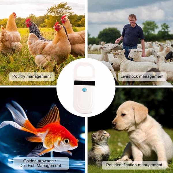 ING Husdjursspecifik Bluetooth RFID-chipläsare - USB-laddning - Trådlös - Stöder FDX-B och EMID - 134,2KHz/125KHz OLED-display - Svart