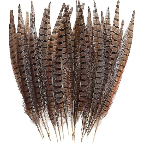 Natural Pheasant Tail Feathers Long Pheasant Feathers Decorations For DIY Carnival Supplies