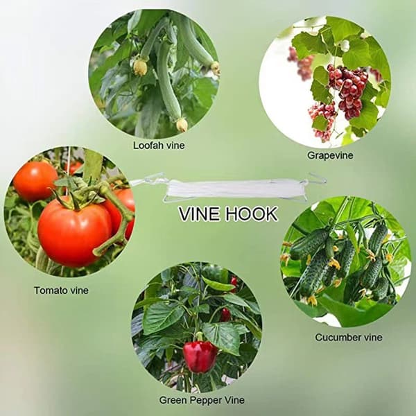 Tomatkrog - tomatkrog - drivhuskrog - drue-vandmelonkrog (hvid)