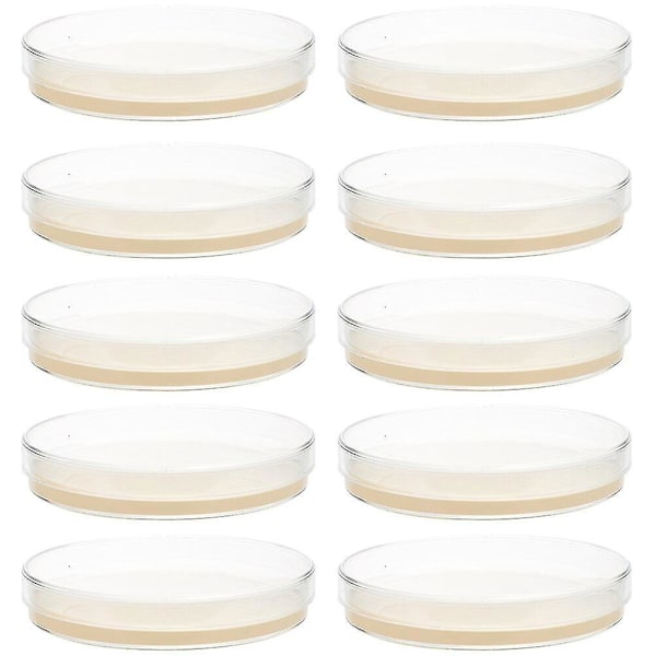 10 st Förfyllda Agarplattor Petriskålar med Agar Vetenskapliga Experiment Tillbehör