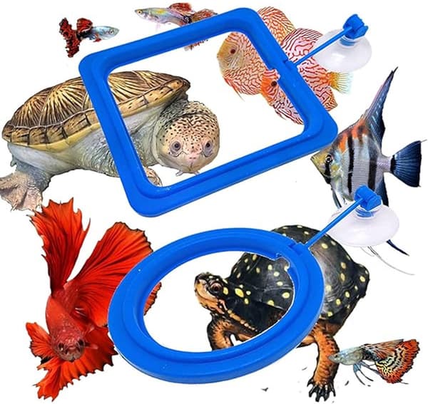 ING 4x Flydende Foderringe - Akvariefoderringe - Flydende Fiskefoderringe - Fiskefoderringe med Sugekopper - Blå