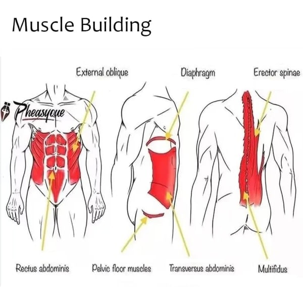 Viktlyftningsbälte med kedja - Högkvalitativt viktbälte för gymnastik, fitness, vikter, pull-ups