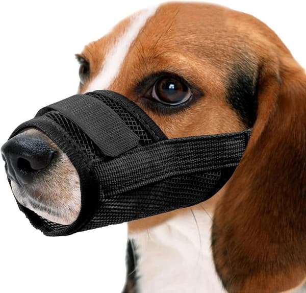 Justerbar hundemunnkurv - Pustende polyester - Forhindrer biting og bjeffing - Størrelse XL
