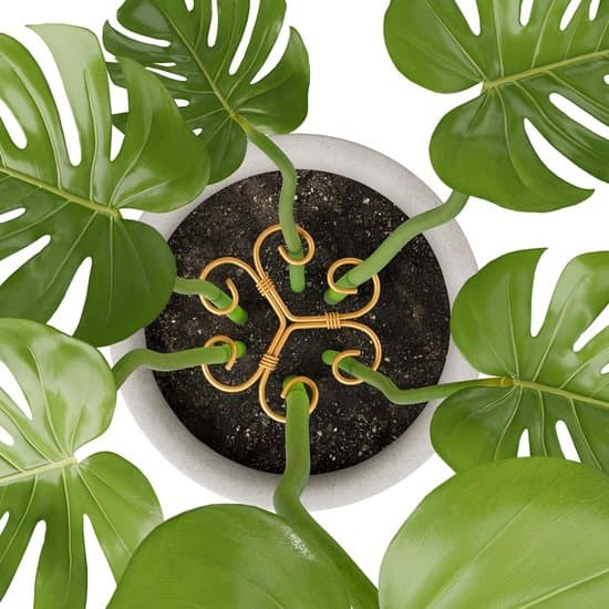 ING Monstera bladstöd - rund växtstödsring - metall - 4 stycken