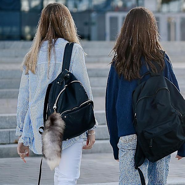 Falsk rävsvans, 40 cm djursvans, fluffig falsk päls svans, rävsvans, nyckelring, plånboksdekoration rävsvans, rollspel, silver