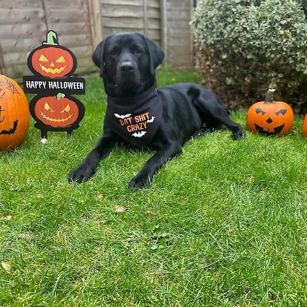 Skarpt Flagermus Halstørklæde til Hunde - Halloween Fest, Efterårsferie, Udklædning, Tilbehør, Trick or Treat, Dekoration, Gave