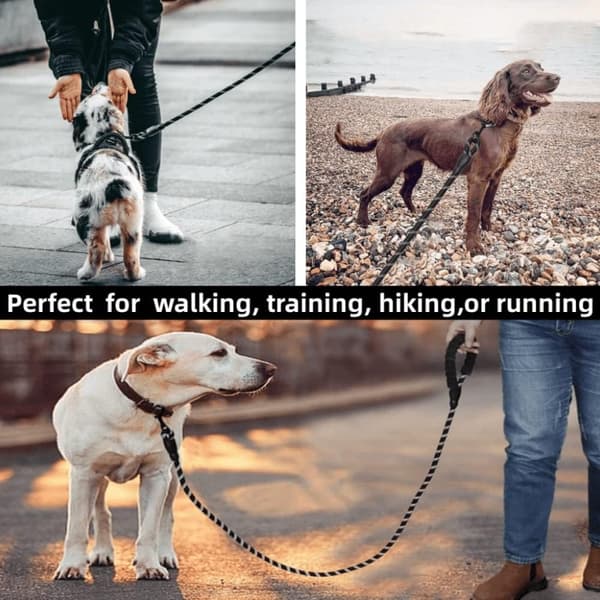 Hundesnor - Hundekæde - Hundesnor - 2m Line - Sort