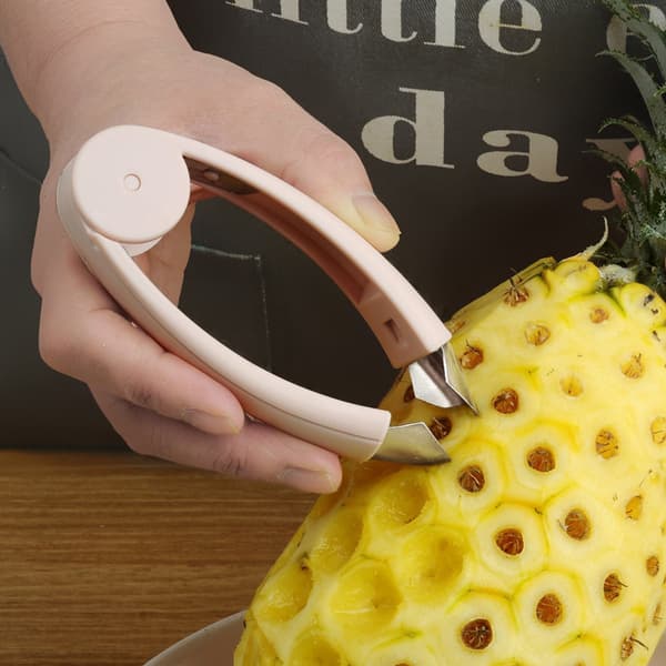 ING pitters i rustfritt stål, egnet for å kutte ananas, jordbær og tomater (2 stykker * 2)