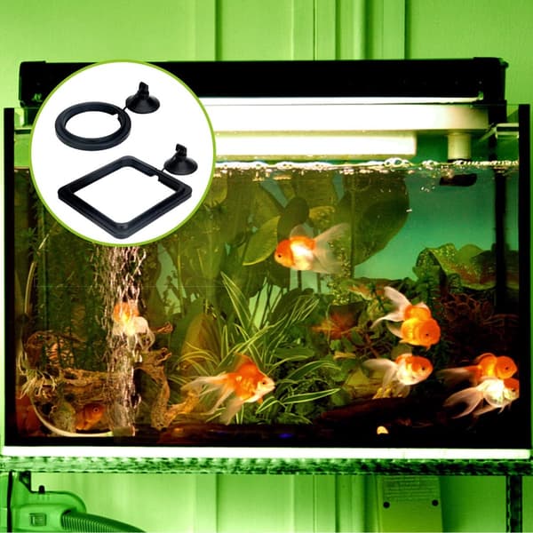 4x Flydende Foderringe - Akvariefoderringe - Flydende Fiskefoderringe - Fiskefoderringe med Sugekopper - Sort + Blå