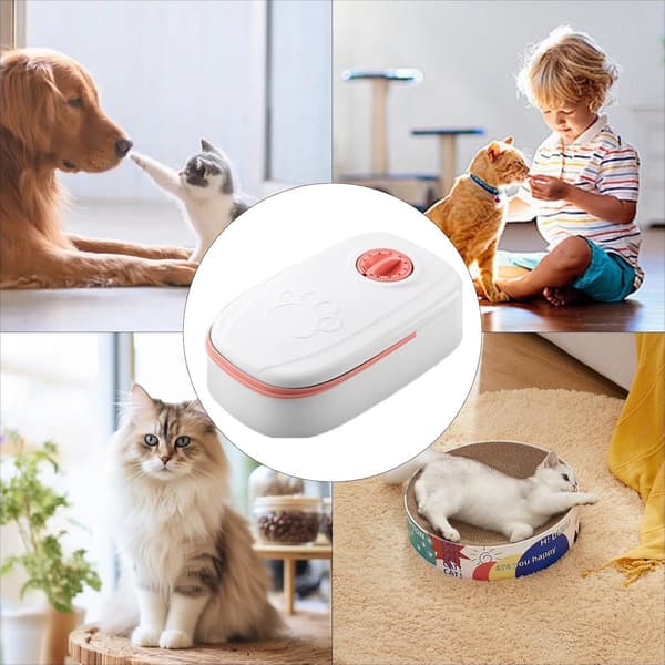 Automatisk foderautomat för katt, 2x350ml måltider, 48h timer, elektrisk tidsinställd öppning för våt- och torrfoder, 24x28,5cm
