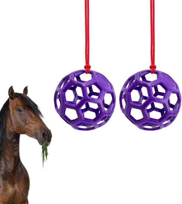 Hängande hö- och foderbollar (2-delat set), stressreducerande leksaker för hästar och getter, lila.