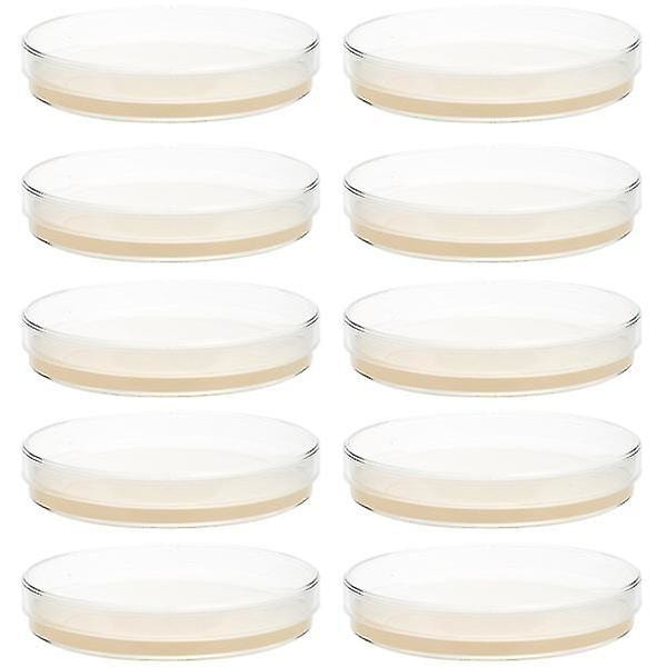 10 st Förfyllda Agarplattor Petriskålar med Agar Vetenskapliga Experiment Tillbehör