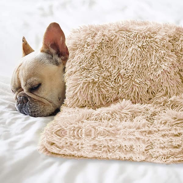 Dobbeltlags koralfleece kæledyrstæppe, varm pude til katte og hunde, beige og brun.