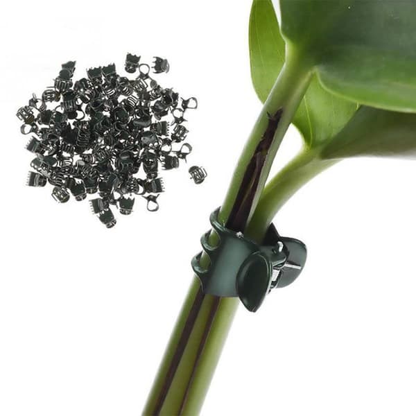 50 st/förp mini blomma klipp grön