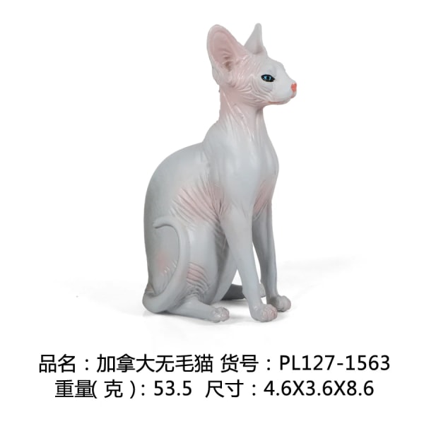 Simulering Husdjur Djurmodeller Perserkatt Hårlös katt Plastmodell Actionfigur Gårdsfigur Miniatyrsamling Leksak för barn